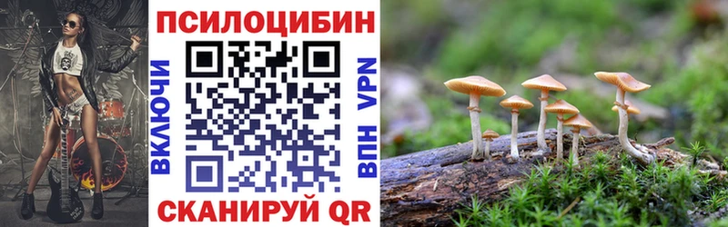 мориарти клад Скопин Псилоцибиновые грибы прущие грибы как найти закладки